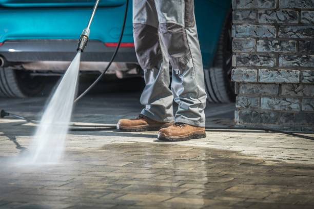 Best Driveway Pressure Washing  in Martinsvle, IL